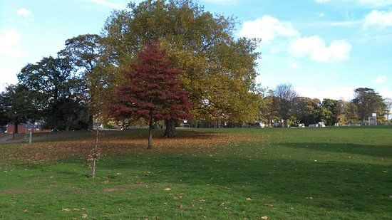 LED Phear Park